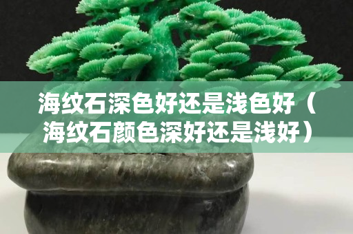 海纹石深色好还是浅色好（海纹石颜色深好还是浅好）