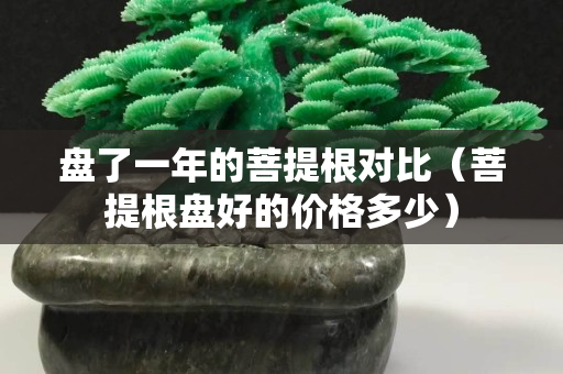 盘了一年的菩提根对比（菩提根盘好的价格多少）