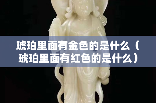 琥珀里面有金色的是什么（琥珀里面有红色的是什么）