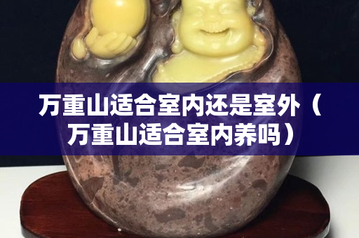 万重山适合室内还是室外（万重山适合室内养吗）