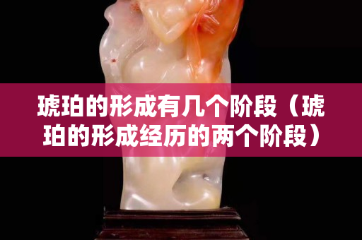 琥珀的形成有几个阶段（琥珀的形成经历的两个阶段）