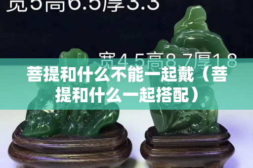 菩提和什么不能一起戴（菩提和什么一起搭配）