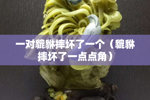 一对貔貅摔坏了一个（貔貅摔坏了一点点角）