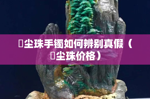 雮尘珠手镯如何辨别真假（雮尘珠价格）