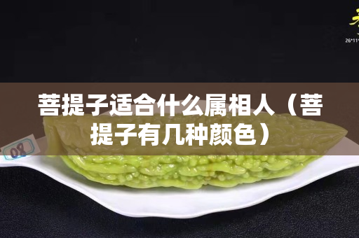 菩提子适合什么属相人（菩提子有几种颜色）