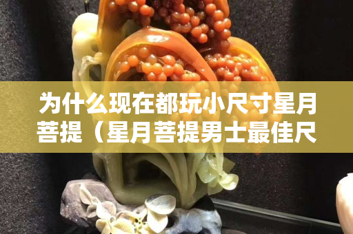 为什么现在都玩小尺寸星月菩提（星月菩提男士最佳尺寸）