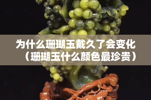 为什么珊瑚玉戴久了会变化（珊瑚玉什么颜色最珍贵）