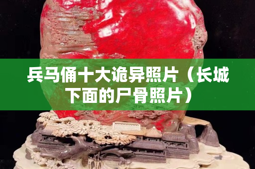 兵马俑十大诡异照片（长城下面的尸骨照片）