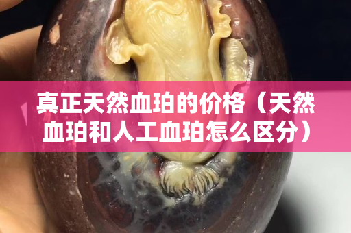 真正天然血珀的价格（天然血珀和人工血珀怎么区分）