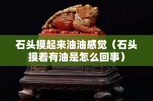 石头摸起来油油感觉（石头摸着有油是怎么回事）