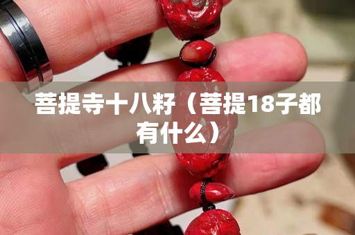 菩提寺十八籽（菩提18子都有什么）