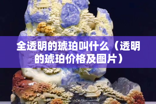 全透明的琥珀叫什么（透明的琥珀价格及图片）