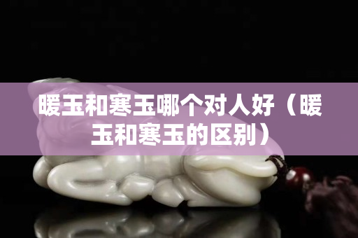 暖玉和寒玉哪个对人好（暖玉和寒玉的区别）