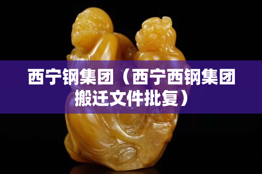 西宁钢集团（西宁西钢集团搬迁文件批复）