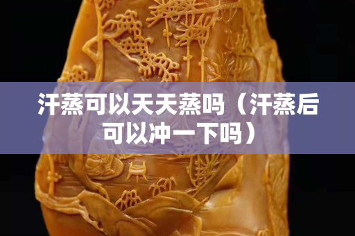 汗蒸可以天天蒸吗（汗蒸后可以冲一下吗）