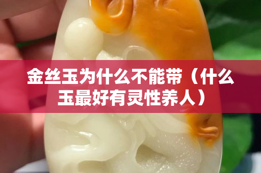 金丝玉为什么不能带（什么玉最好有灵性养人）