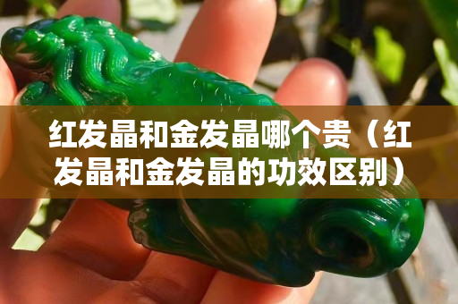 红发晶和金发晶哪个贵（红发晶和金发晶的功效区别）