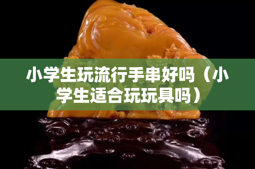 小学生玩流行手串好吗（小学生适合玩玩具吗）