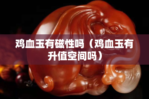 鸡血玉有磁性吗（鸡血玉有升值空间吗）