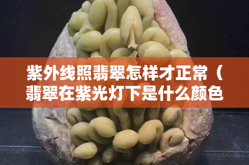 紫外线照翡翠怎样才正常（翡翠在紫光灯下是什么颜色）