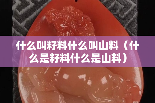 什么叫籽料什么叫山料（什么是籽料什么是山料）