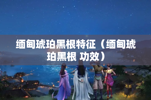 缅甸琥珀黑根特征（缅甸琥珀黑根 功效）