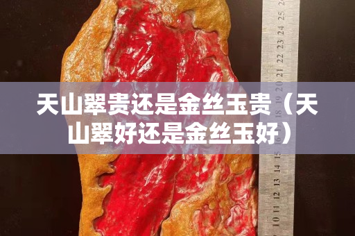天山翠贵还是金丝玉贵（天山翠好还是金丝玉好）