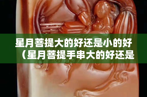 星月菩提大的好还是小的好（星月菩提手串大的好还是小的好）