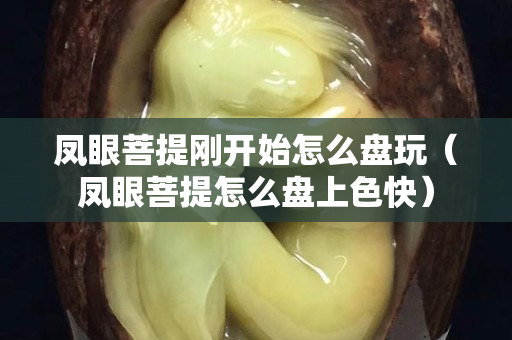 凤眼菩提刚开始怎么盘玩（凤眼菩提怎么盘上色快）