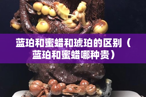 蓝珀和蜜蜡和琥珀的区别（蓝珀和蜜蜡哪种贵）