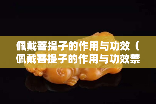 佩戴菩提子的作用与功效（佩戴菩提子的作用与功效禁忌）