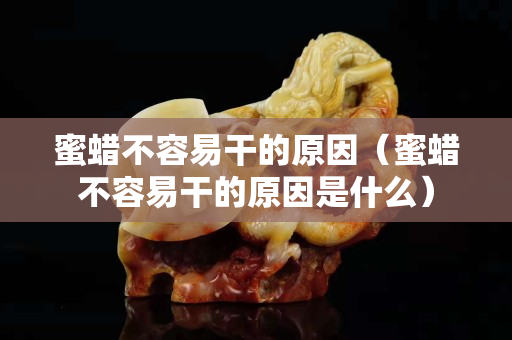 蜜蜡不容易干的原因（蜜蜡不容易干的原因是什么）