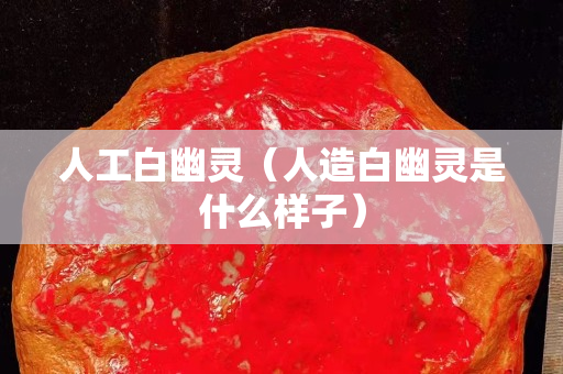 人工白幽灵（人造白幽灵是什么样子）