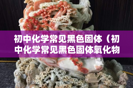 初中化学常见黑色固体（初中化学常见黑色固体氧化物）
