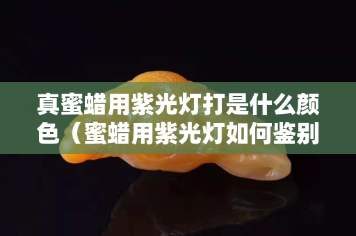 真蜜蜡用紫光灯打是什么颜色（蜜蜡用紫光灯如何鉴别）