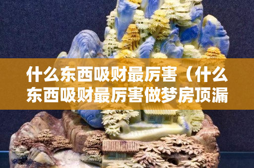什么东西吸财最厉害（什么东西吸财最厉害做梦房顶漏水）