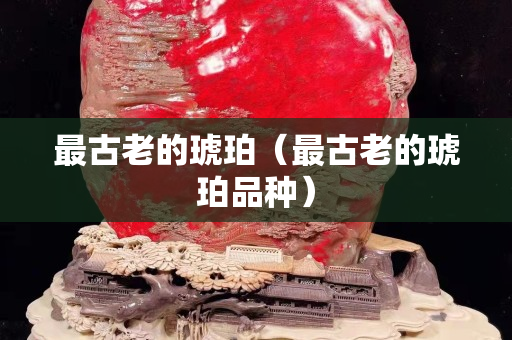 最古老的琥珀（最古老的琥珀品种）