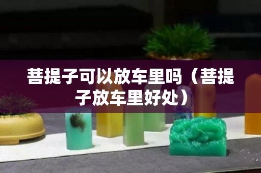 菩提子可以放车里吗（菩提子放车里好处）
