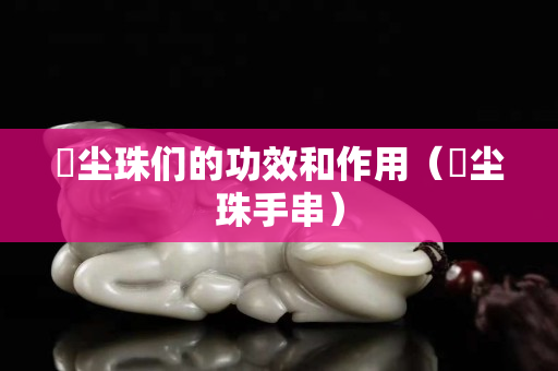 雮尘珠们的功效和作用（雮尘珠手串）