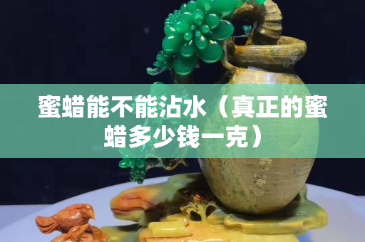 蜜蜡能不能沾水（真正的蜜蜡多少钱一克）