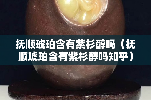 抚顺琥珀含有紫杉醇吗（抚顺琥珀含有紫杉醇吗知乎）