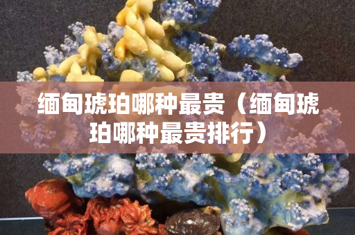 缅甸琥珀哪种最贵（缅甸琥珀哪种最贵排行）