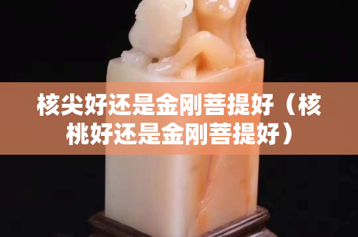 核尖好还是金刚菩提好（核桃好还是金刚菩提好）