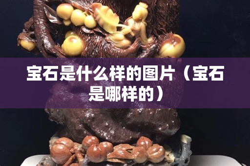 宝石是什么样的图片（宝石是哪样的）