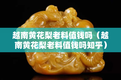 越南黄花梨老料值钱吗（越南黄花梨老料值钱吗知乎）