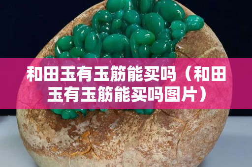 和田玉有玉筋能买吗（和田玉有玉筋能买吗图片）