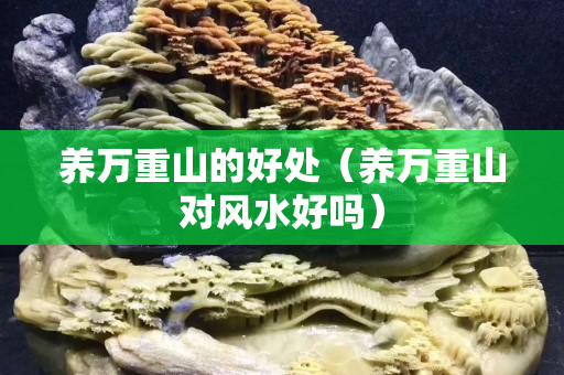 养万重山的好处（养万重山对风水好吗）