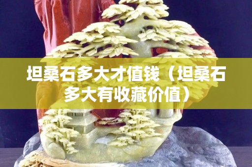 坦桑石多大才值钱（坦桑石多大有收藏价值）