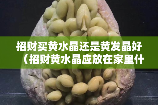 招财买黄水晶还是黄发晶好（招财黄水晶应放在家里什么位置）