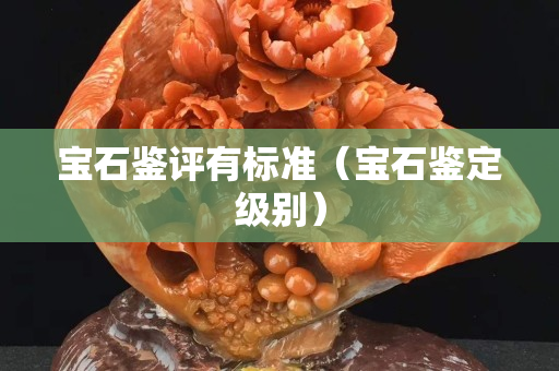 宝石鉴评有标准（宝石鉴定级别）